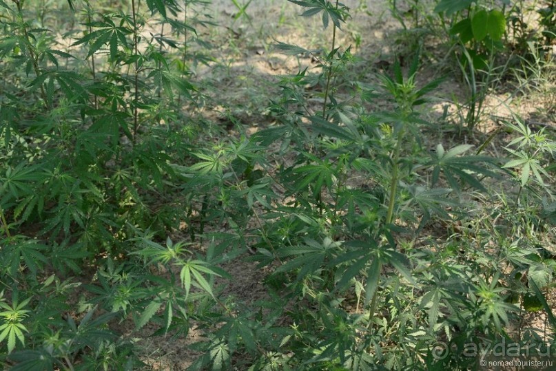 Затерянные Гималаи, Непал-Бутан. Часть 7