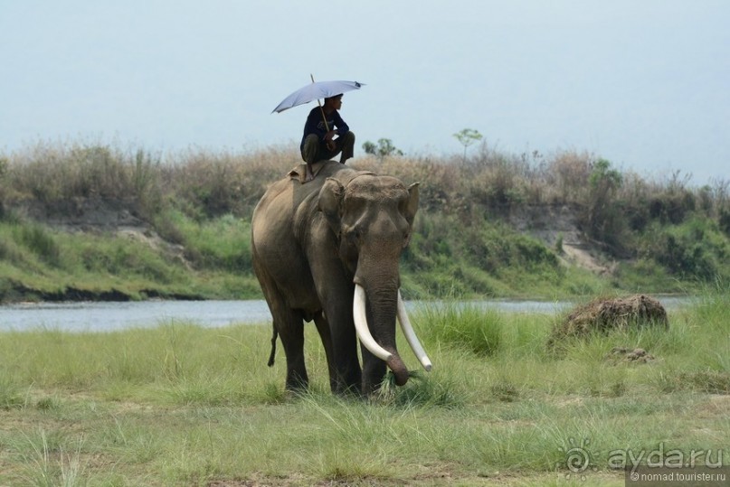 Затерянные Гималаи, Непал-Бутан. Часть 7