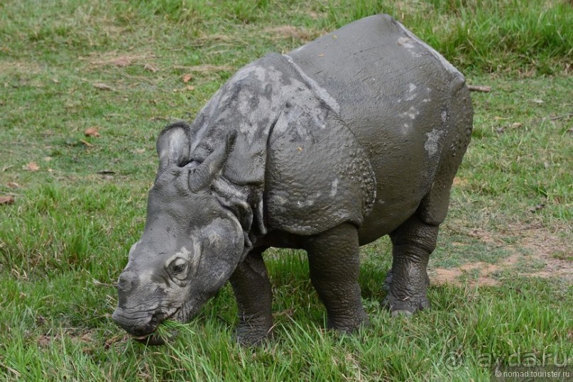 Затерянные Гималаи, Непал-Бутан. Часть 7