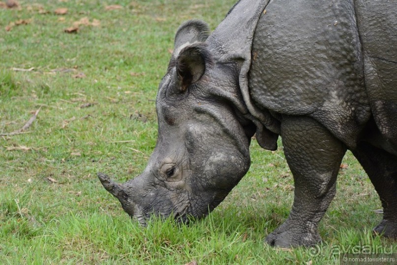 Затерянные Гималаи, Непал-Бутан. Часть 7