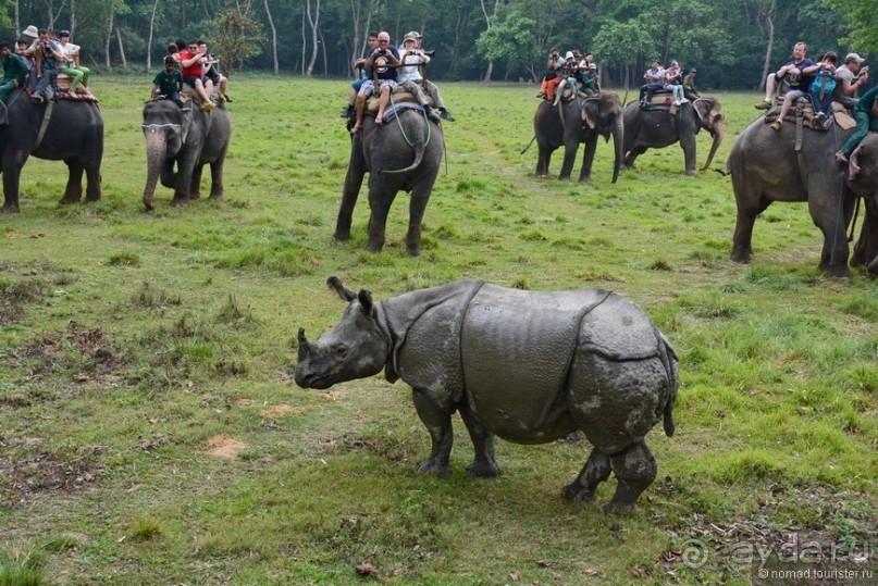 Затерянные Гималаи, Непал-Бутан. Часть 7