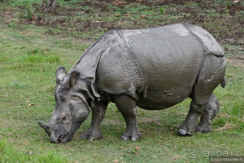 Затерянные Гималаи, Непал-Бутан. Часть 7