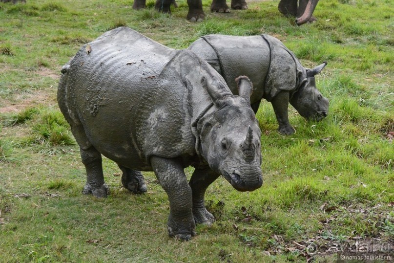 Затерянные Гималаи, Непал-Бутан. Часть 7