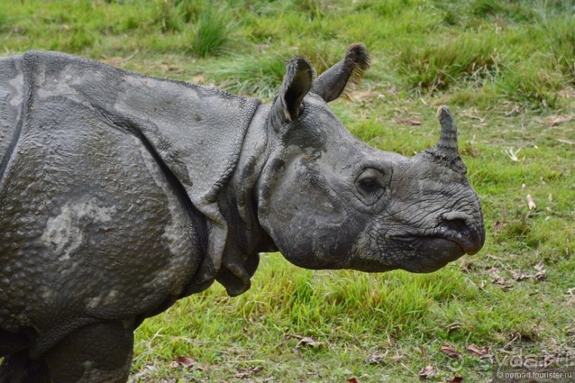 Затерянные Гималаи, Непал-Бутан. Часть 7