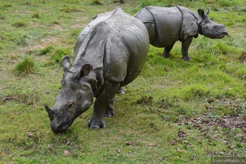Затерянные Гималаи, Непал-Бутан. Часть 7
