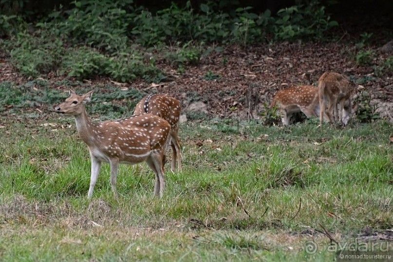 Затерянные Гималаи, Непал-Бутан. Часть 7