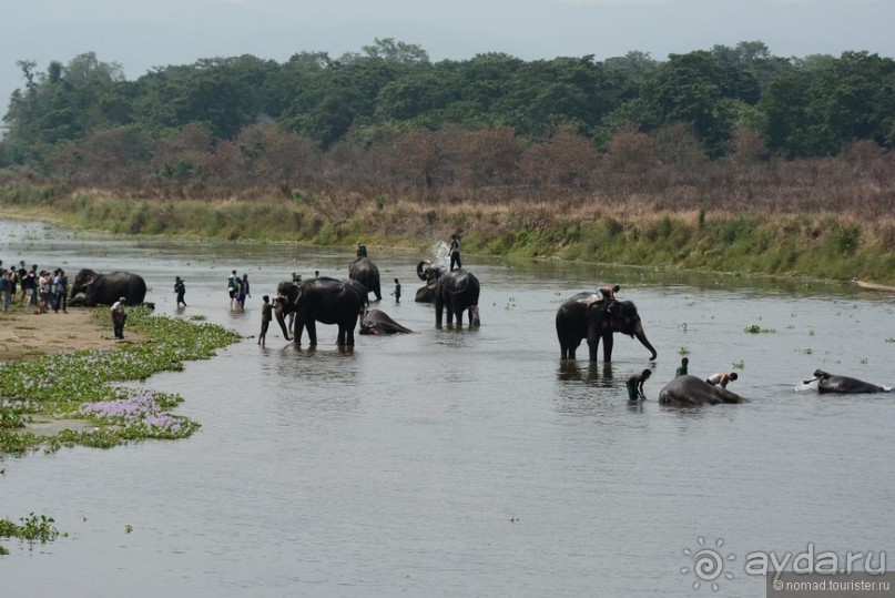Затерянные Гималаи, Непал-Бутан. Часть 7