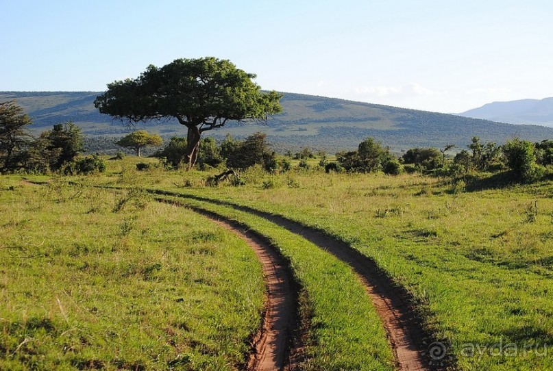 Кения, Масаи Мара