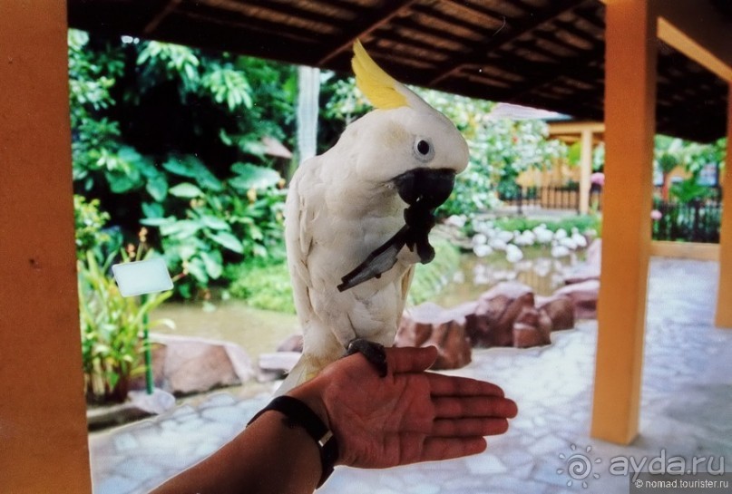Начало начал. Малазийские воспоминания. Часть 2