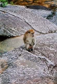 Начало начал. Малазийские воспоминания. Часть 2