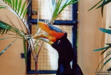 Начало начал. Малазийские воспоминания. Часть 2