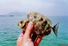 Начало начал. Малазийские воспоминания. Часть 2