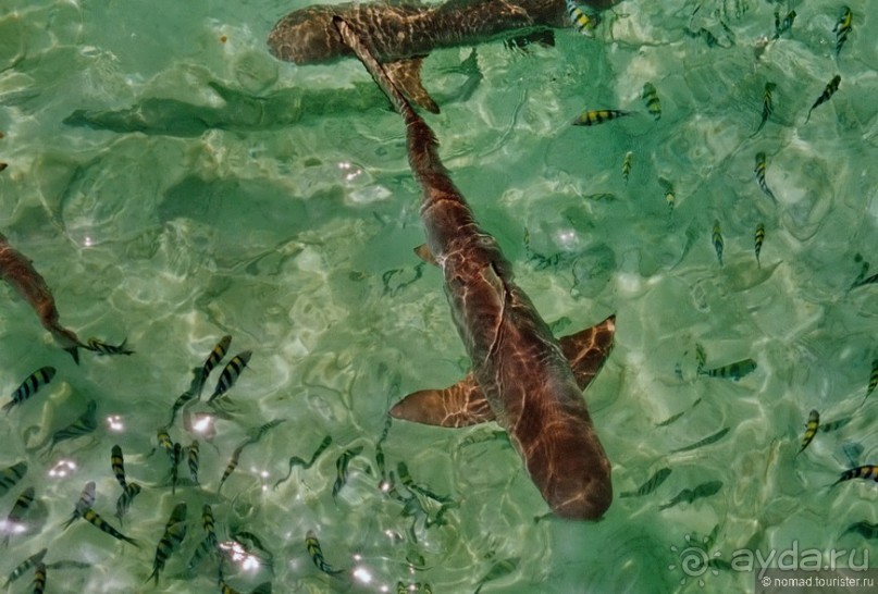 Начало начал. Малазийские воспоминания. Часть 2