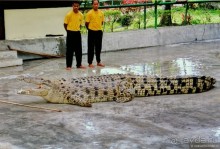 Начало начал. Малазийские воспоминания. Часть 2