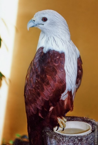 Начало начал. Малазийские воспоминания. Часть 2