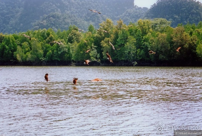 Начало начал. Малазийские воспоминания. Часть 2