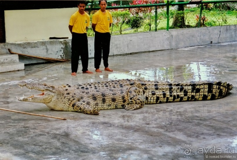 Начало начал. Малазийские воспоминания. Часть 2