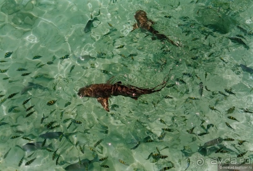 Начало начал. Малазийские воспоминания. Часть 2