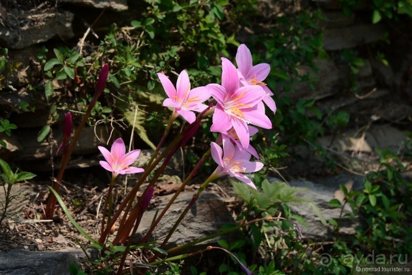 Затерянные Гималаи, Непал-Бутан. Часть 5