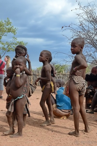 Альбом отзыва "В гостях у Химба"