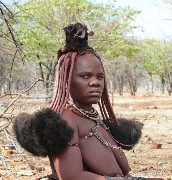 Альбом отзыва "В гостях у Химба"