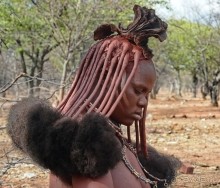 Альбом отзыва "В гостях у Химба"