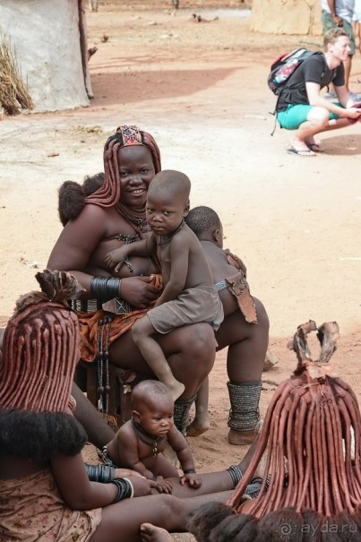 Альбом отзыва "В гостях у Химба"