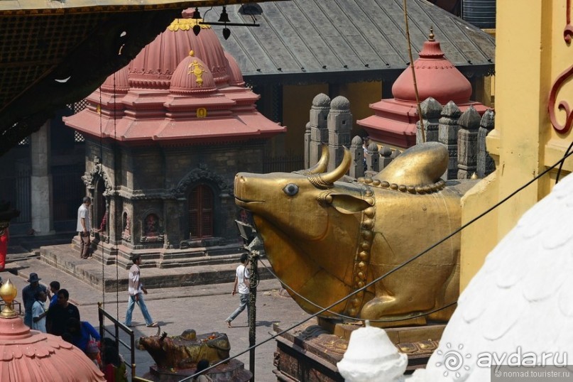 Затерянные Гималаи, Непал-Бутан. Часть 3