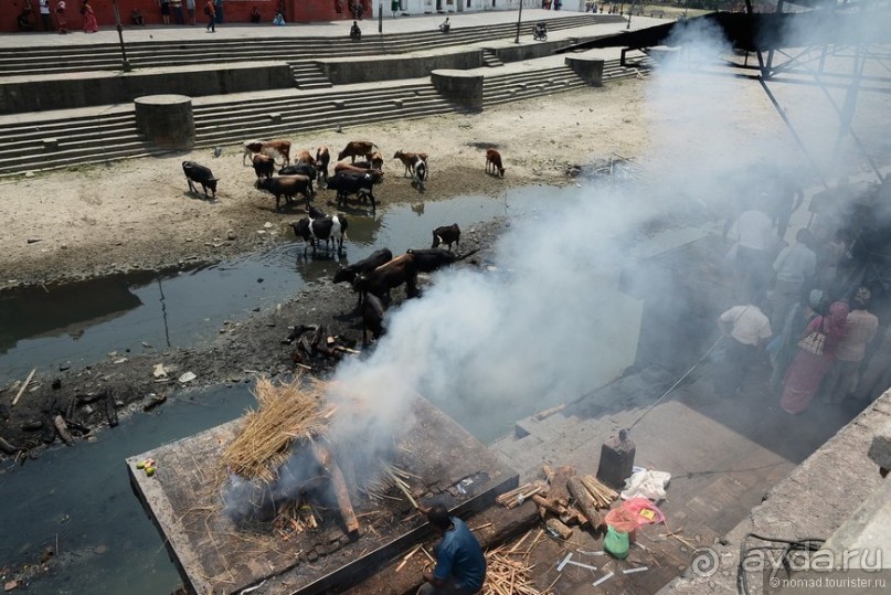 Затерянные Гималаи, Непал-Бутан. Часть 3
