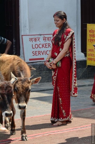 Затерянные Гималаи, Непал-Бутан. Часть 3