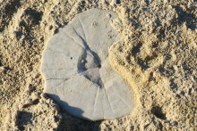 Hop on Malta! Часть 3