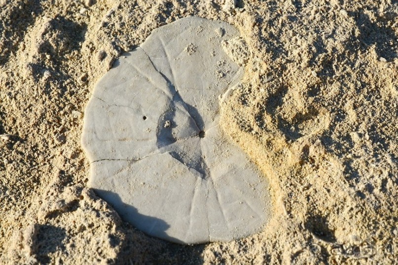 Hop on Malta! Часть 3