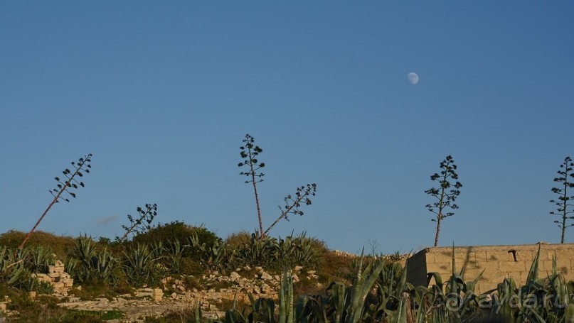 Hop on Malta! Часть 3