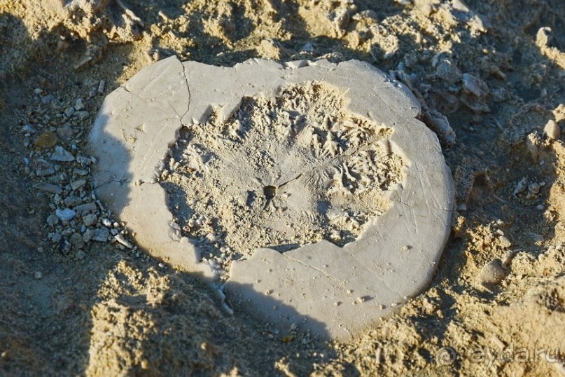 Hop on Malta! Часть 3