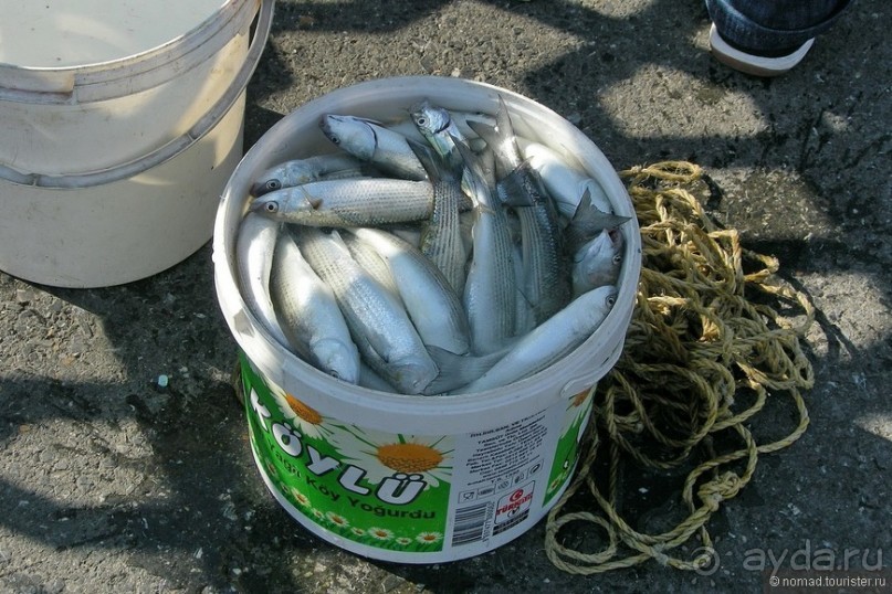 Стамбул за три дня, или NO SHOPPING. Часть 1