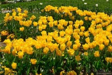 Стамбул за три дня, или NO SHOPPING. Часть 1