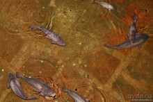 Стамбул за три дня, или NO SHOPPING. Часть 1