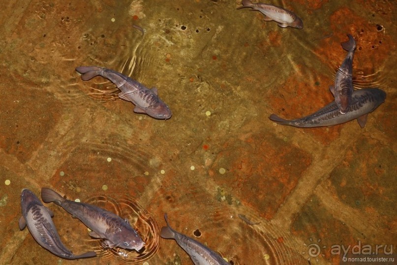 Стамбул за три дня, или NO SHOPPING. Часть 1