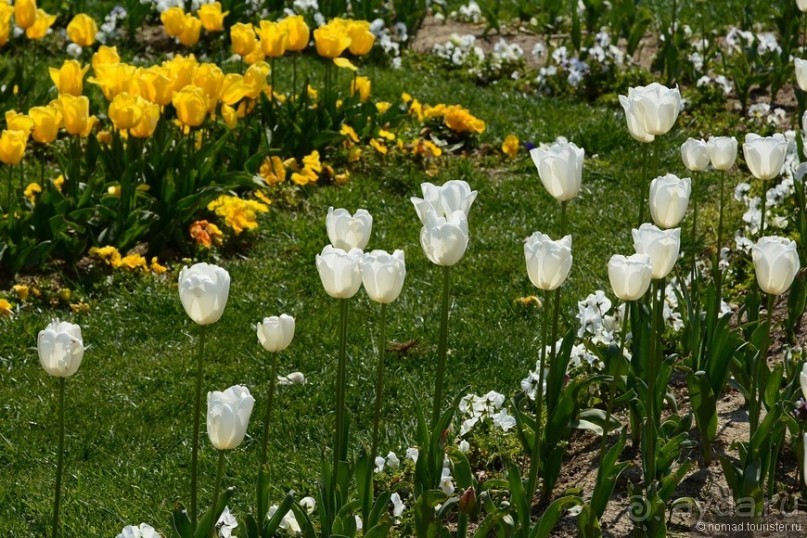 Стамбул за три дня, или NO SHOPPING. Часть 1