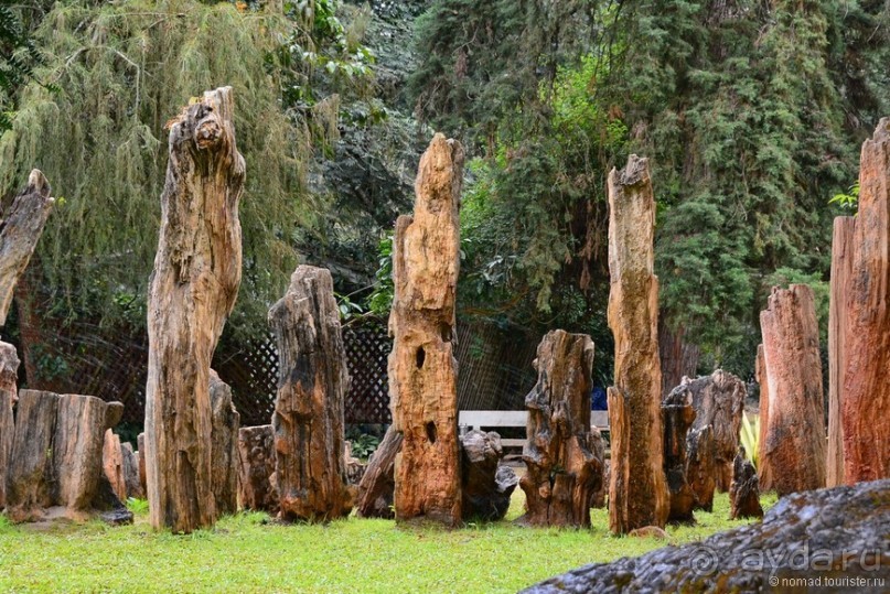 Из Мьянмы с любовью... Часть 7