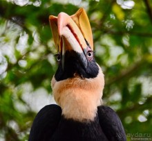 Из Мьянмы с любовью... Часть 7