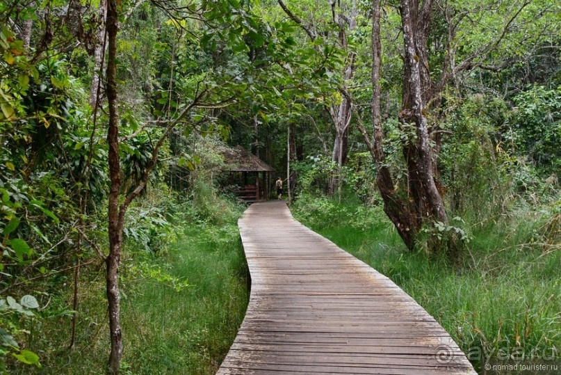 Из Мьянмы с любовью... Часть 7