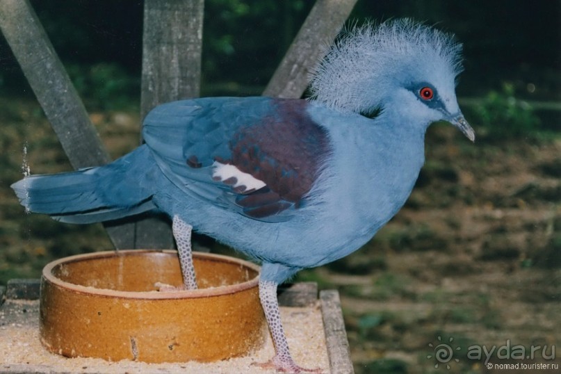Начало начал. Малазийские воспоминания. Часть 1
