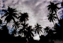 Начало начал. Малазийские воспоминания. Часть 1