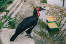 Начало начал. Малазийские воспоминания. Часть 1