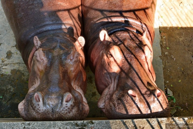 Из Мьянмы с любовью... Часть 1