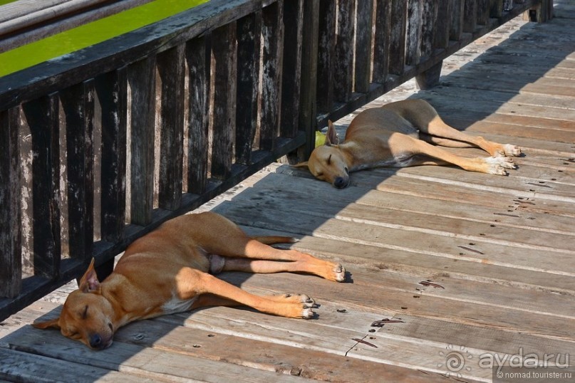 Из Мьянмы с любовью... Часть 1