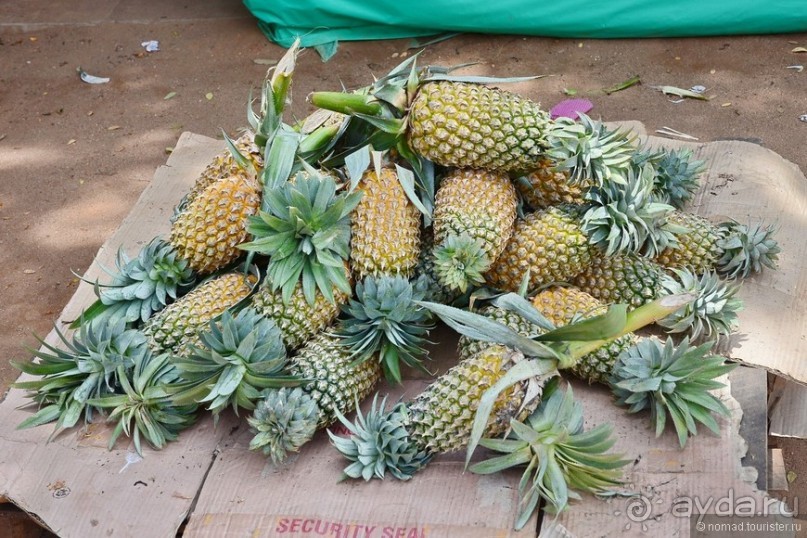 Цейлон на троих. Часть 1