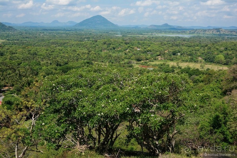 Цейлон на троих. Часть 1