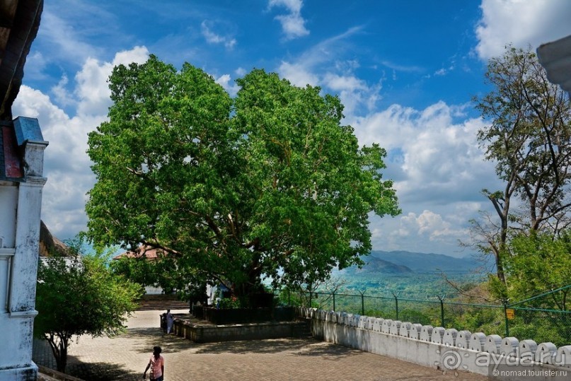 Цейлон на троих. Часть 1